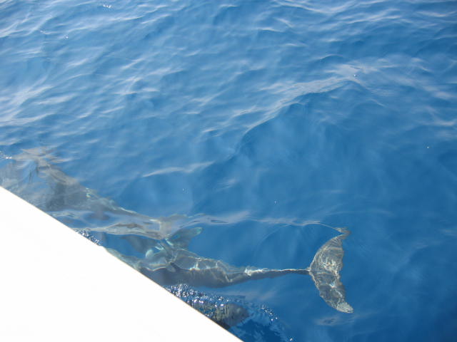 [IMG_7173.jpg]