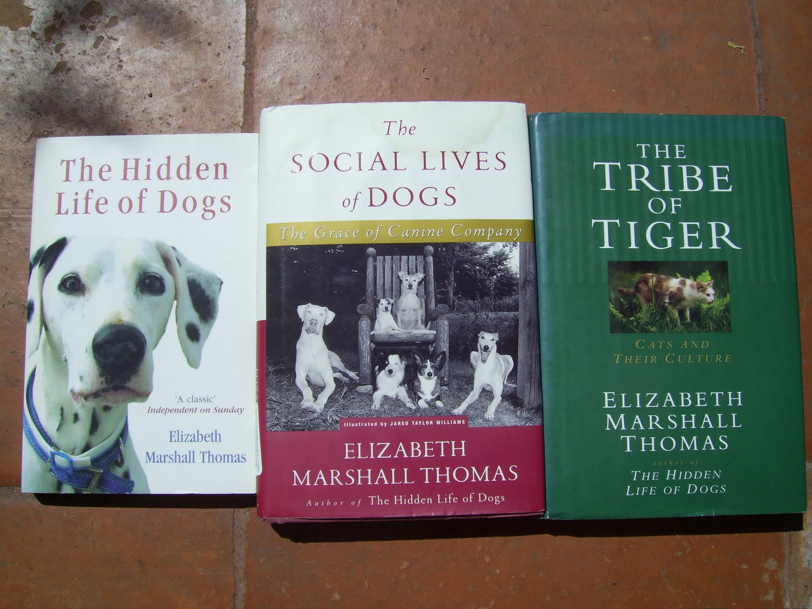 The Social Lives of Dogs: The Grace of Canine Company Elizabeth Marshall Thomas