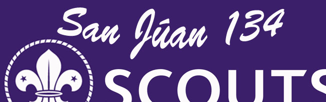 Grupo Scout San Juan 134