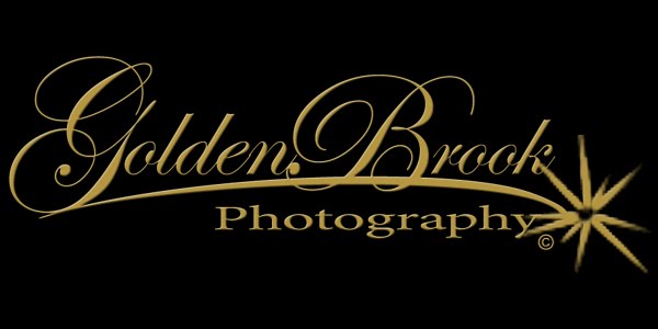 Golden Brook Photography