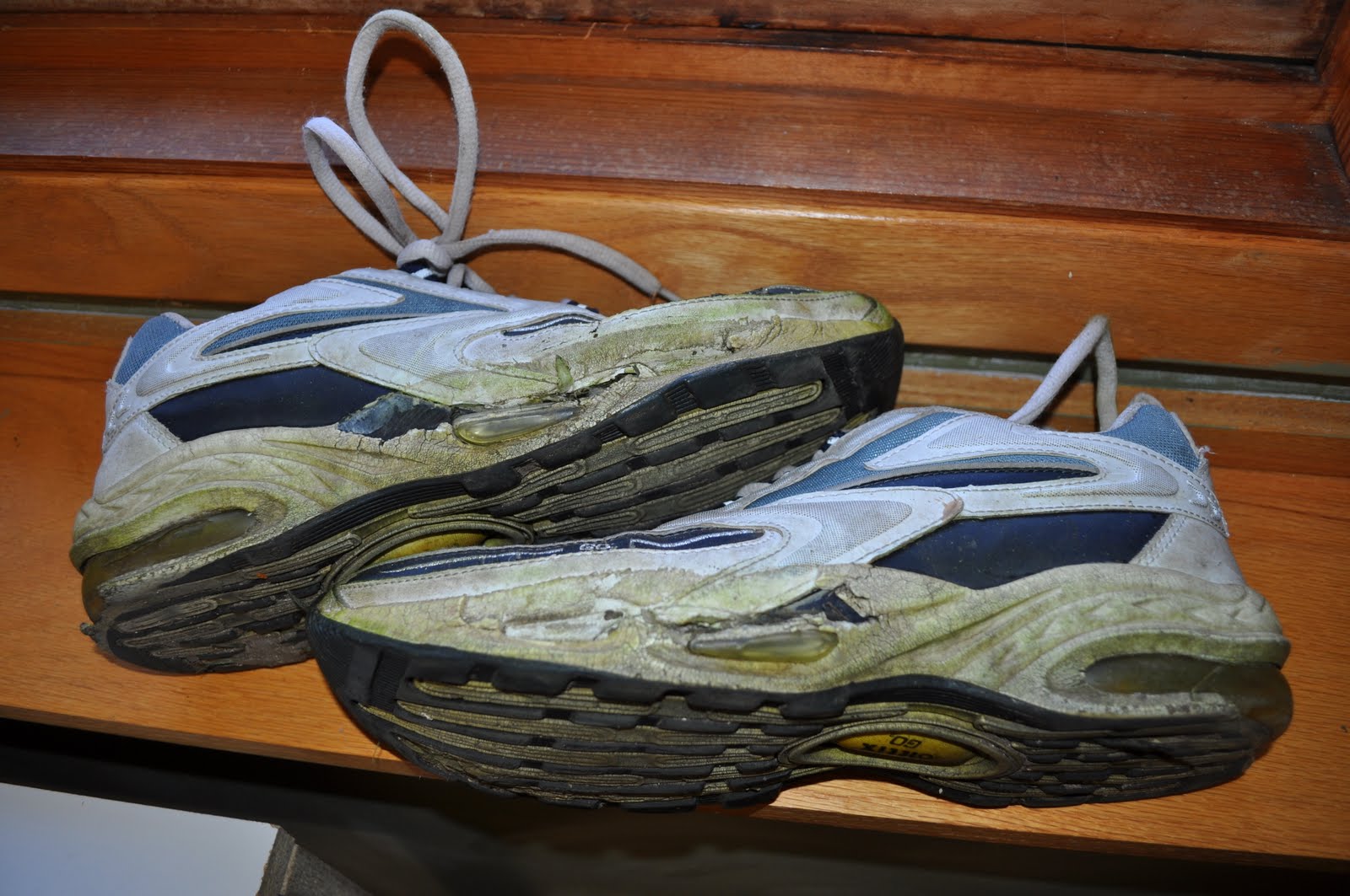 Tori Kamal Goodbye Sweet Lawn Shoes 2010