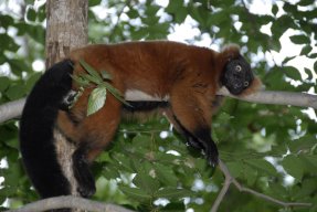 [05532_DMH5795Vvr+hot+weather.jpg]