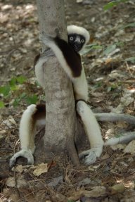 [05395_DMH5493Pvc+NHE6+6882+hot.jpg]