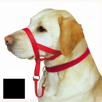 Halti20Head%20Collar.jpg