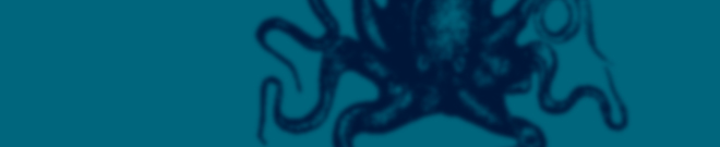 sweatyoctopus