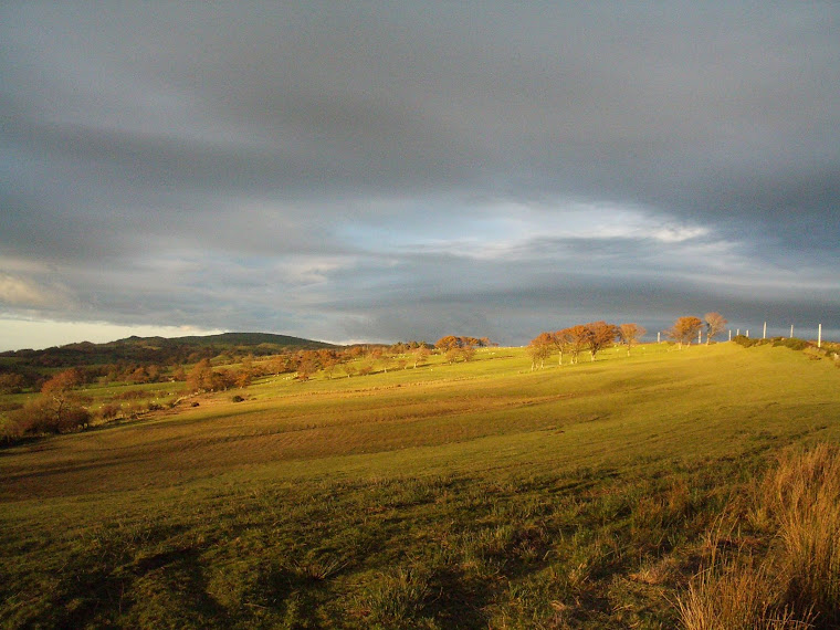 My favorite pictures