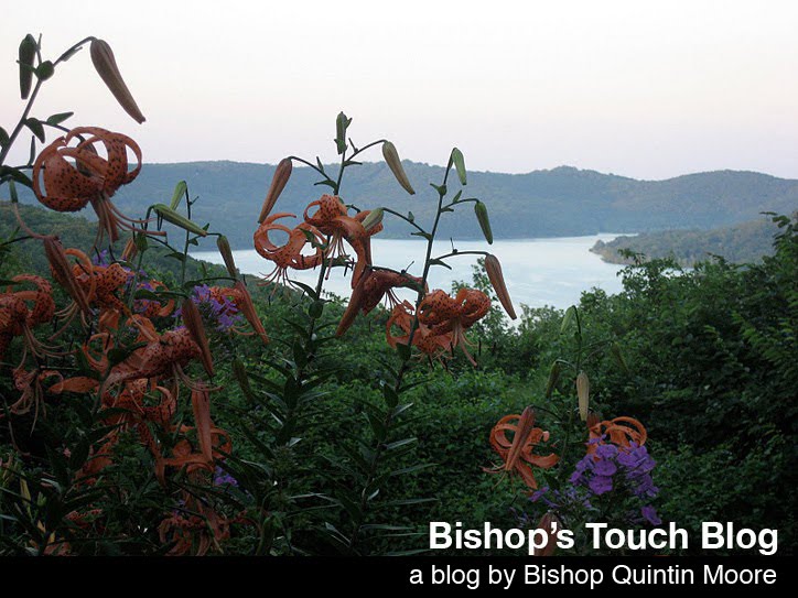 Bishop's Touch