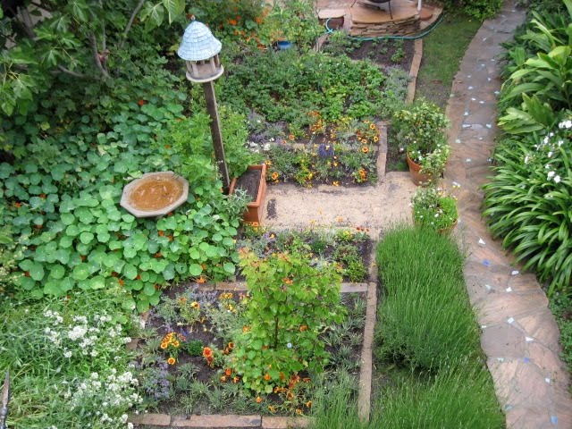 Butterfly Garden Plans fachry Butterflies Tattoos, Butterflies Design, Best Butterflies, Butterfly Pictures, Butterflies Galleries, Free Butterfly Image, Personal Best Butterfly