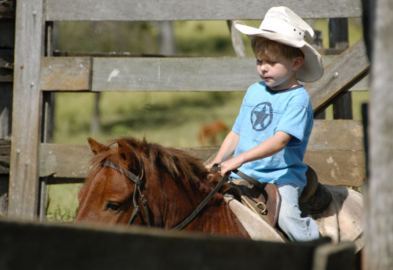 [jack+and+roy+yards+e.jpg]