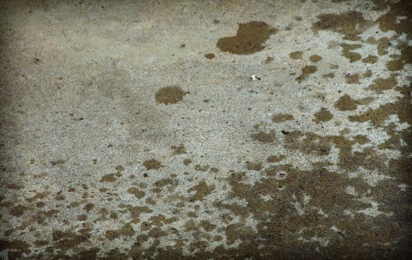 [raindrops_0002.jpg]