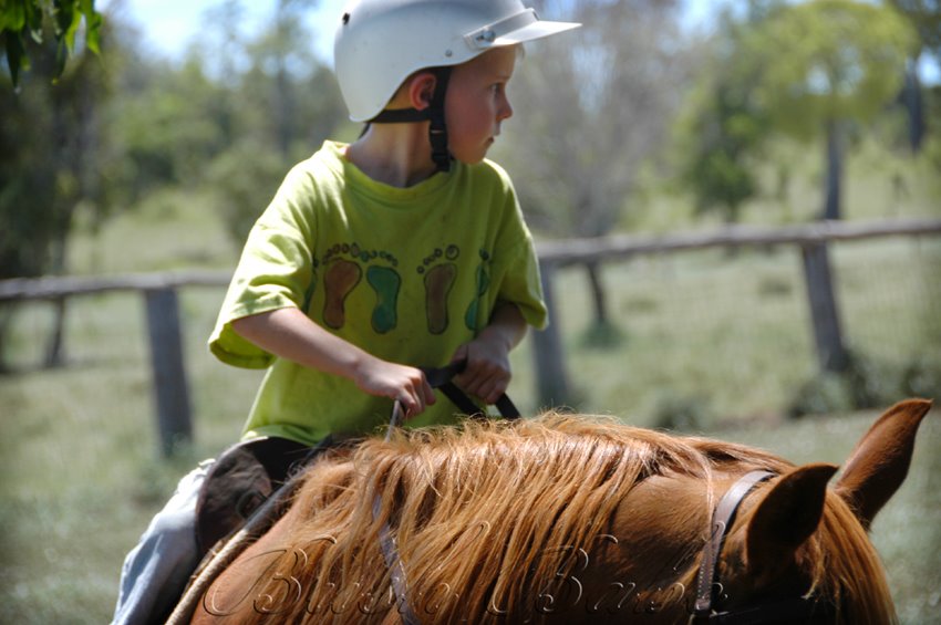 [bdtopyards_0352+e.jpg]