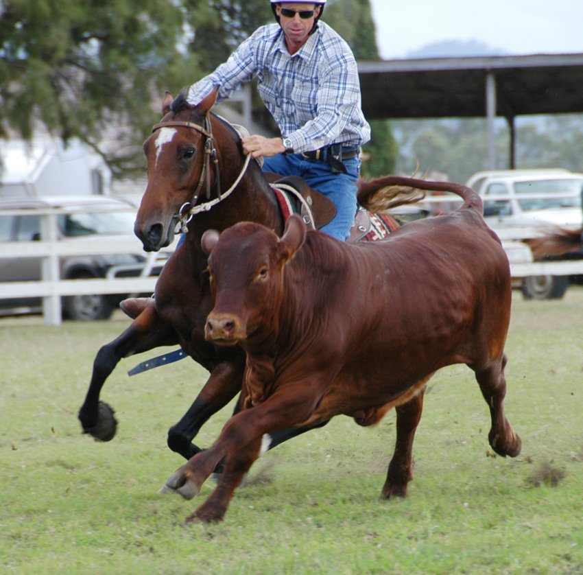 [gbuckle_0255+crope.jpg]