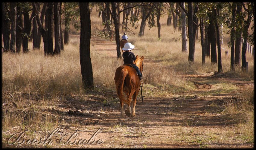 [dashmuster_0680.jpg]