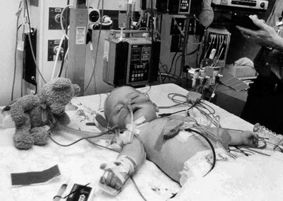 [bear_ICU_sleep_e.jpg]