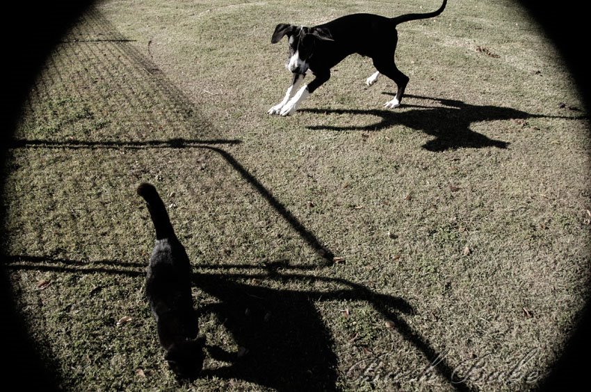 [axelvmiddy_1006.jpg]