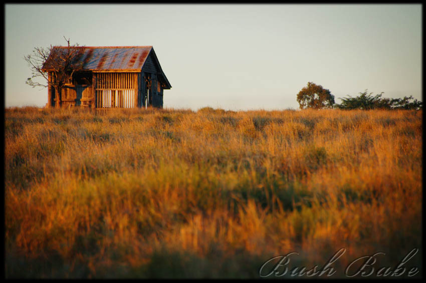 [farmshack_0128.jpg]