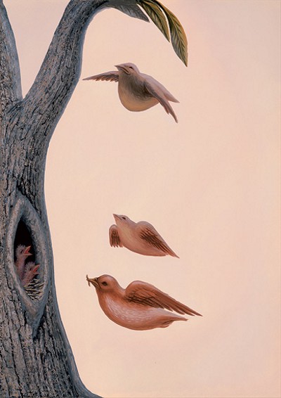 [pajaros-cara.jpg]