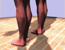 [lev+animacion.gif]
