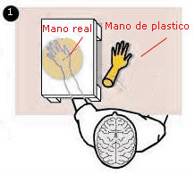 cerebro mentiroso