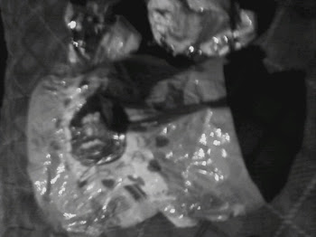 Bonobon :D
