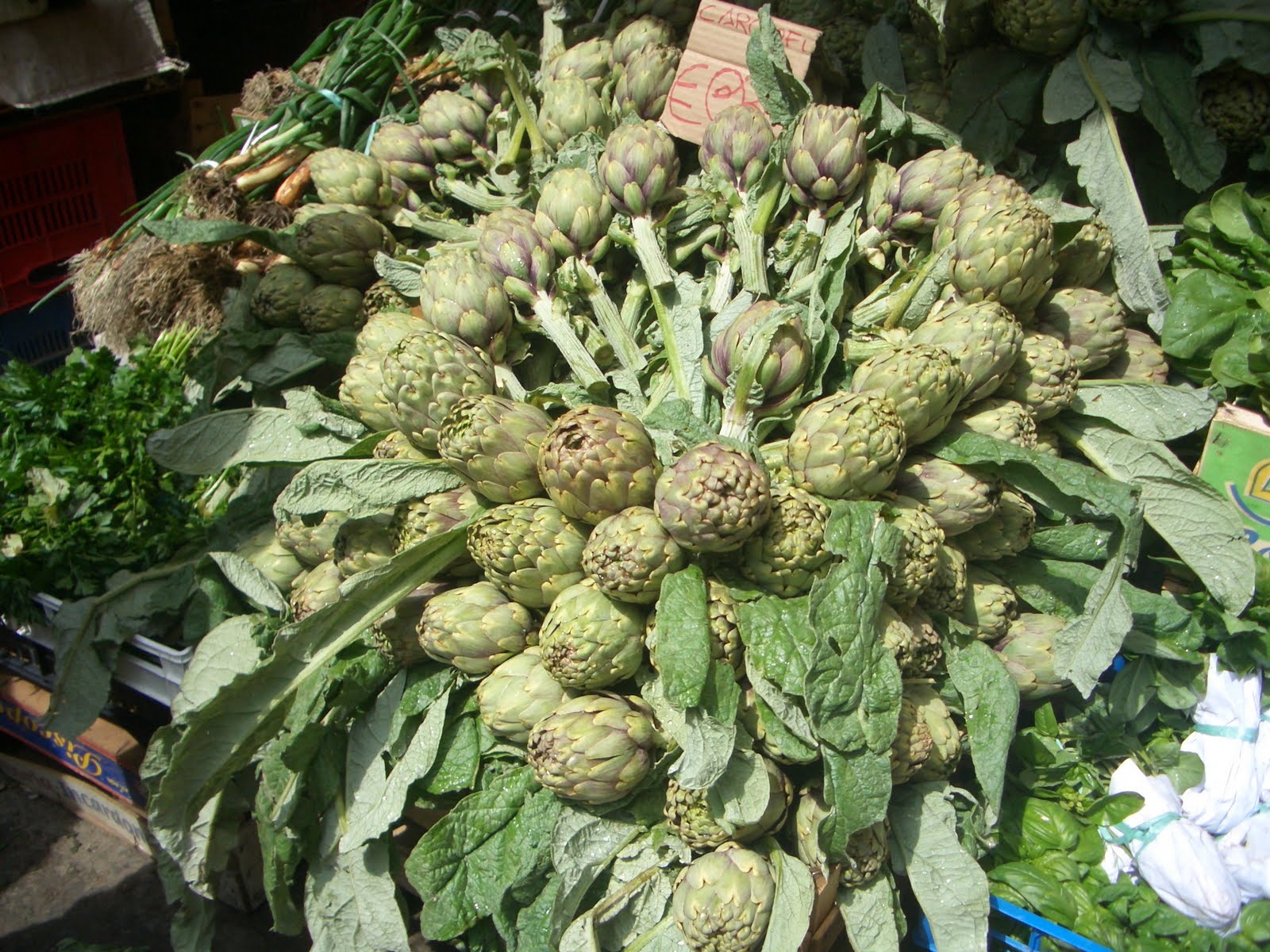 Baby Artichokes