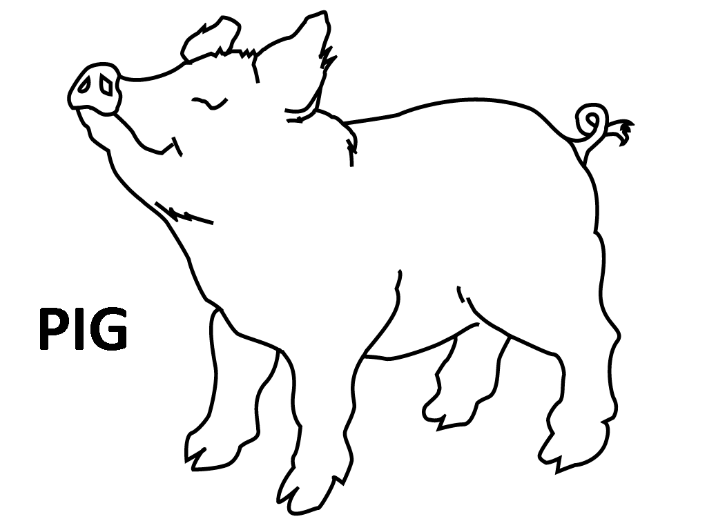 Free coloring pages of flying pigs
