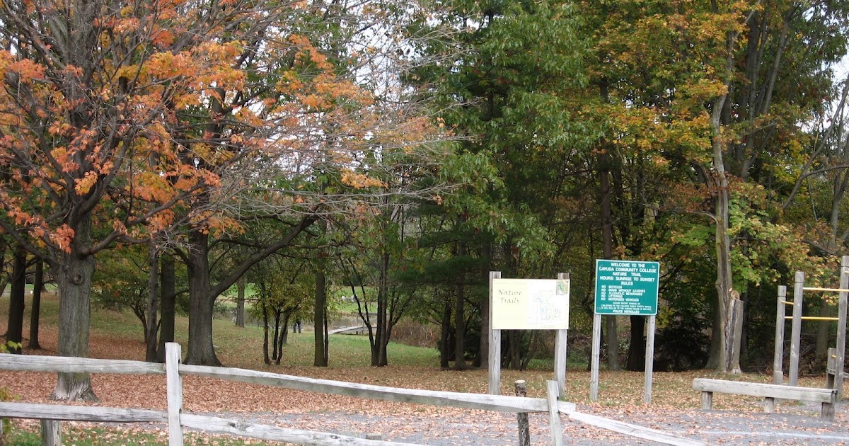 The Philosopher’s Stone Cayuga Community College Trail