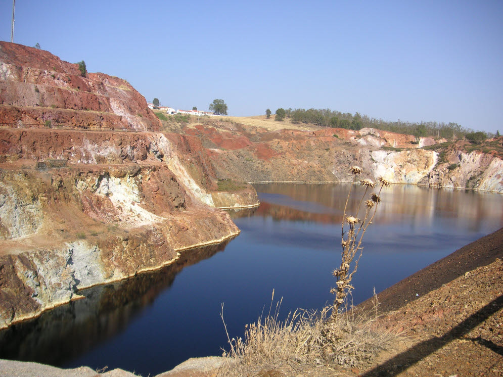 [PICT0205.JPG]