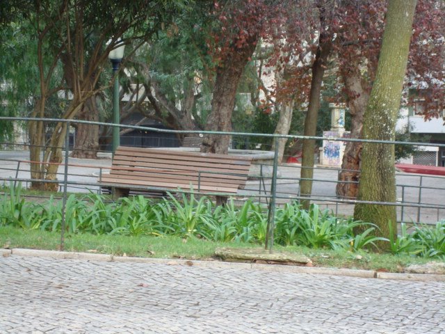[DSC07096.JPG]