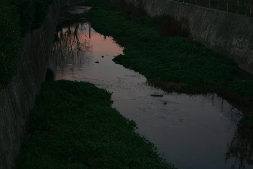 [IMG_7286.JPG]