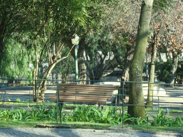 [DSC07364.JPG]