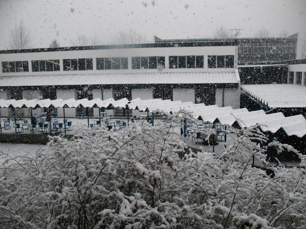 [IMG_9330.JPG]