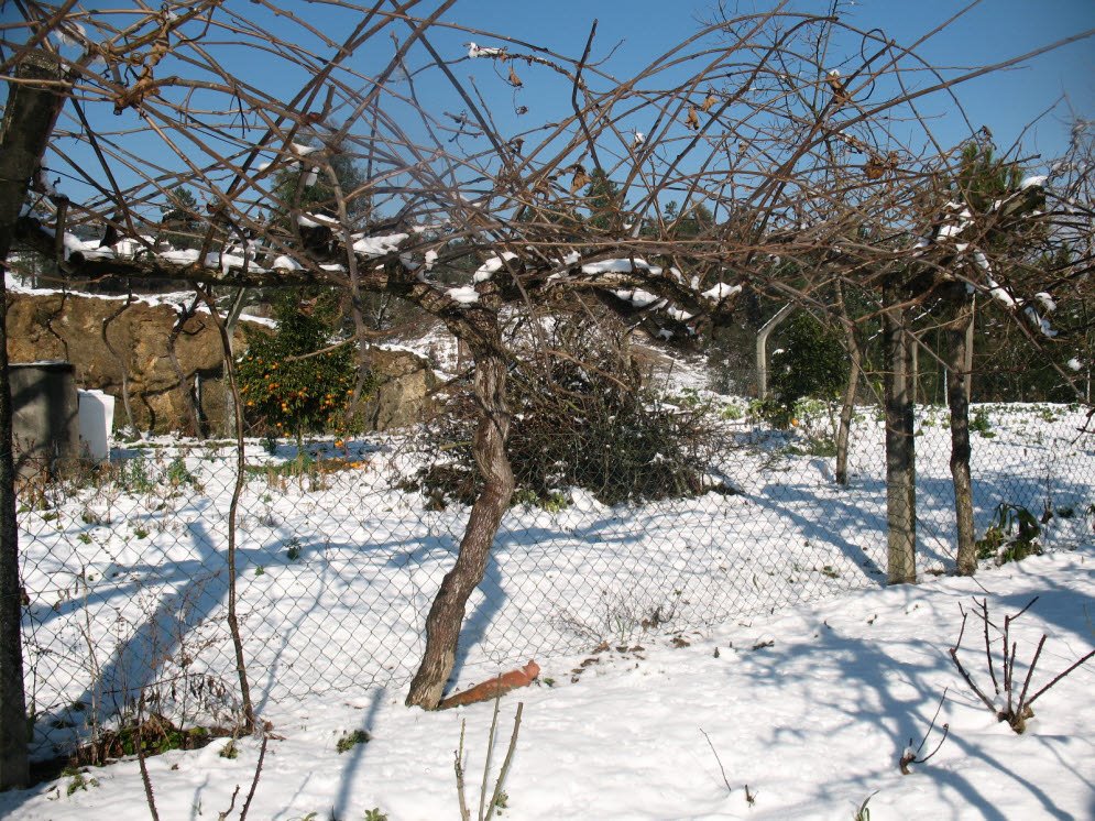 [IMG_9393.JPG]