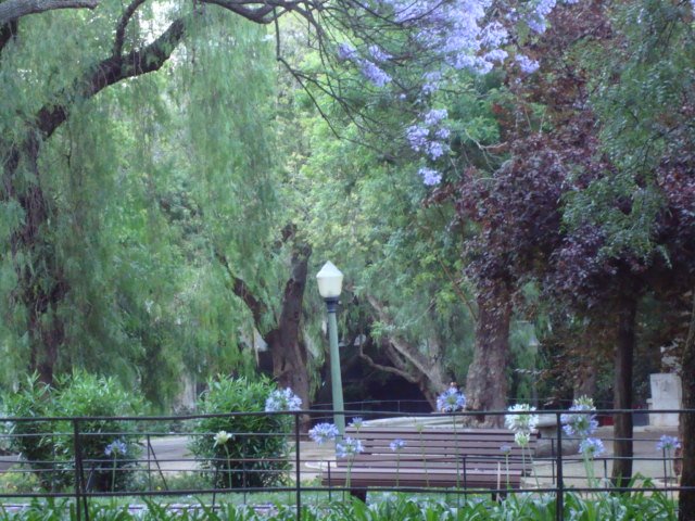 [DSC01489.JPG]