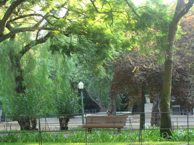[DSC04813.JPG]