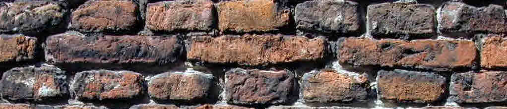 [Copy+2+of+12.12.09.jpg]