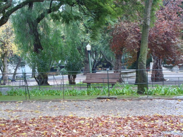 [DSC06929.JPG]