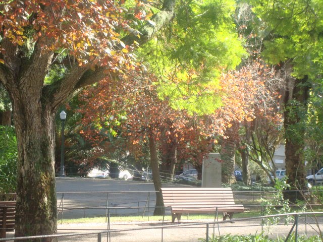 [DSC07031.JPG]