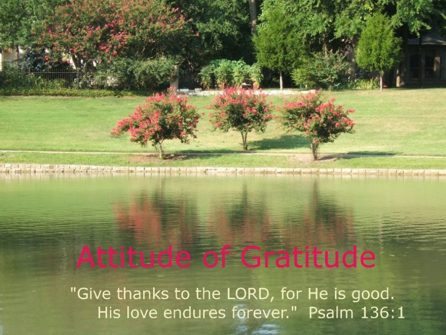 Attitude of Gratitude