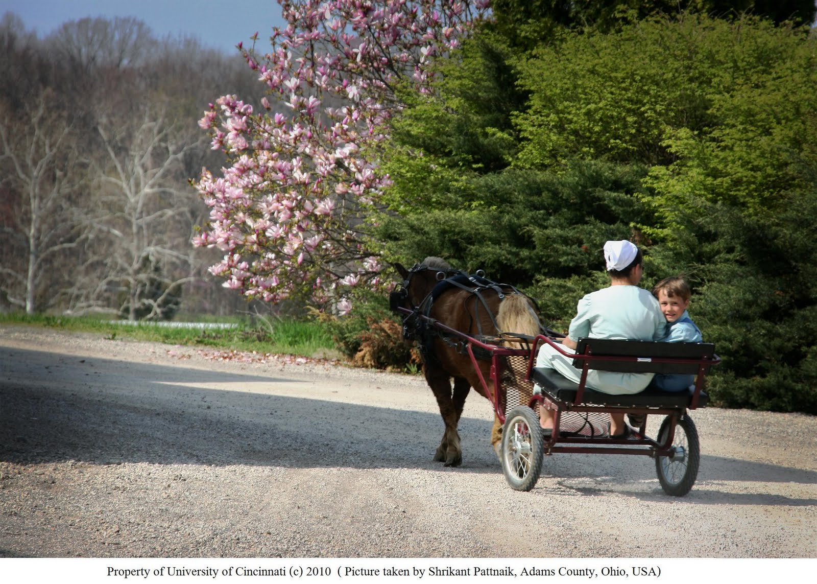 amish village