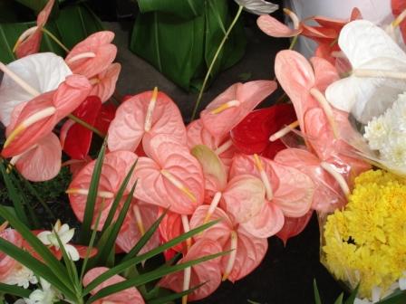 [Flowers+from+Farmers+Market+Hilo.JPG]