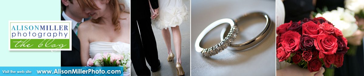 Alison Miller Photography's Photoblog