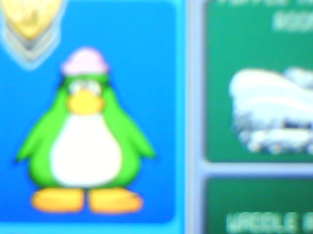 [image-upload-31-767384.jpg]