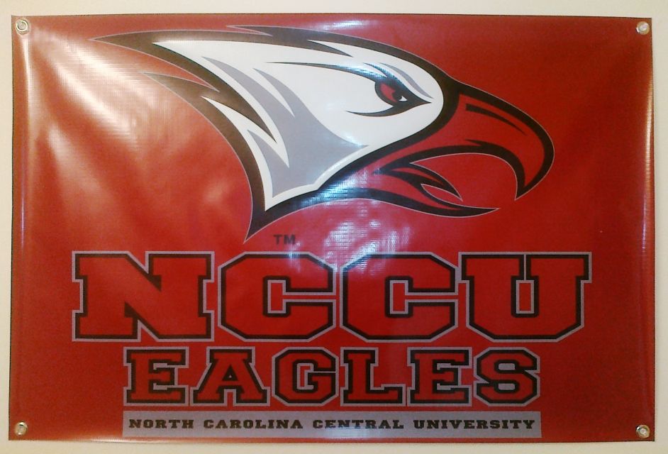 [Eagles+Banners.jpg]