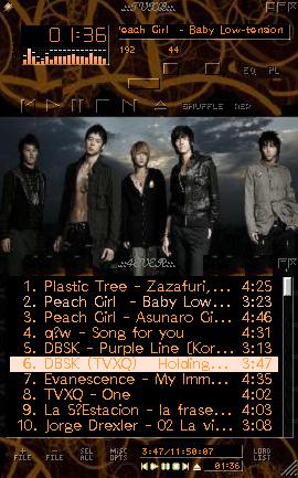 [TVXQSKIN2.JPG]