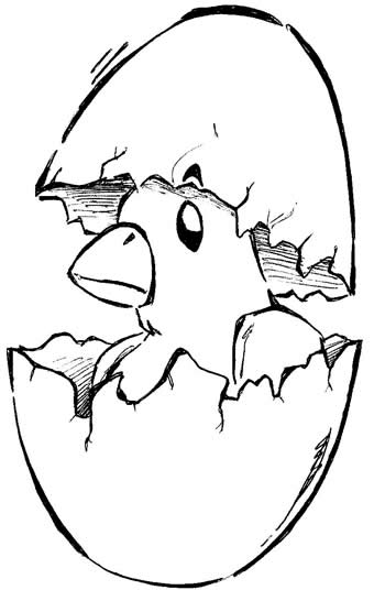 desenho para colorir de pintinho na casca do ovo desenhos para