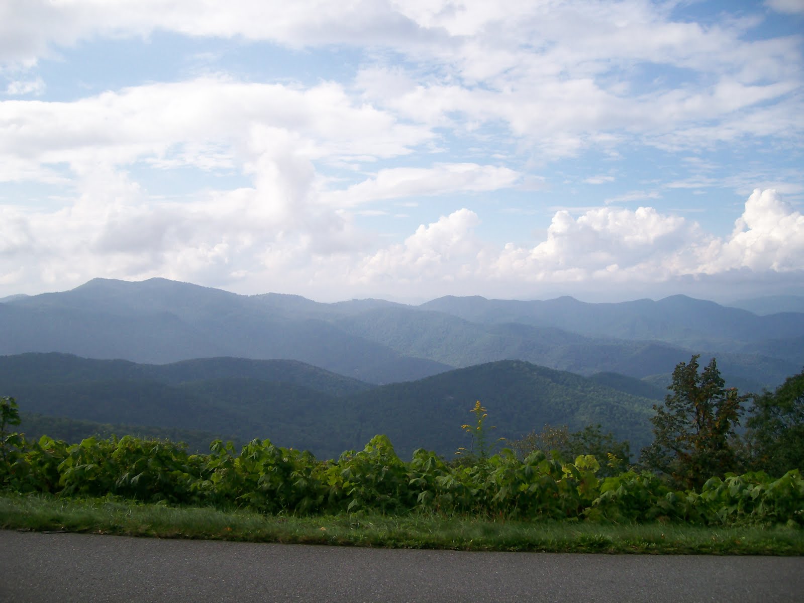 [100_0934.JPG]