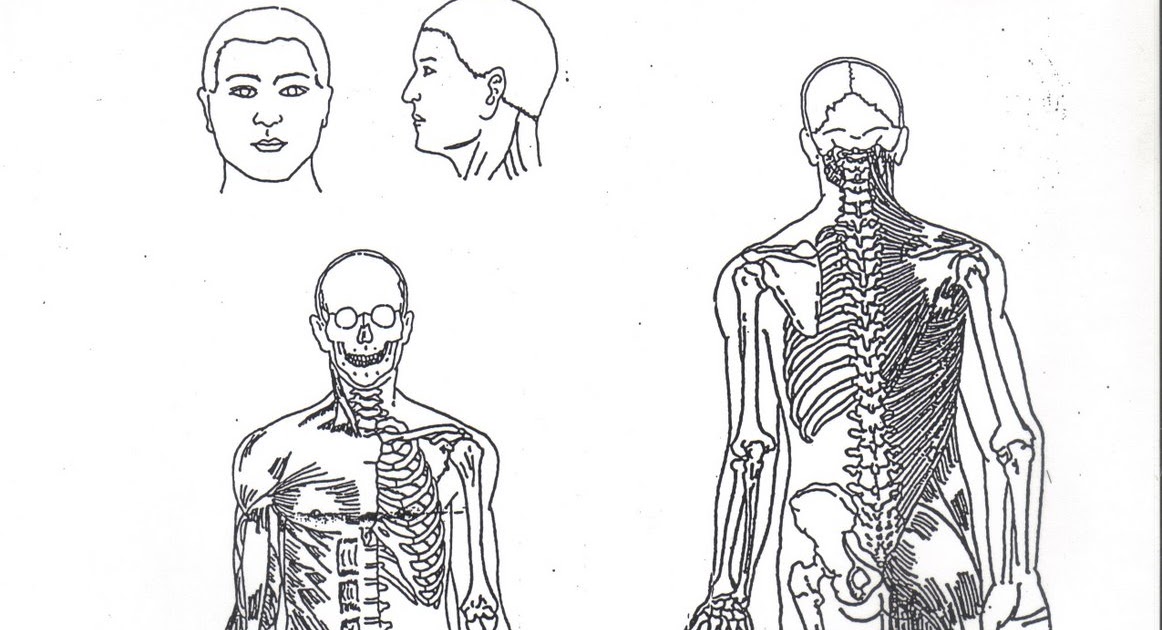 Journey Into Wellness Integrated Healing™: Anatomical Man-Problem Intake