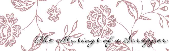 The Musings of a Scrapper