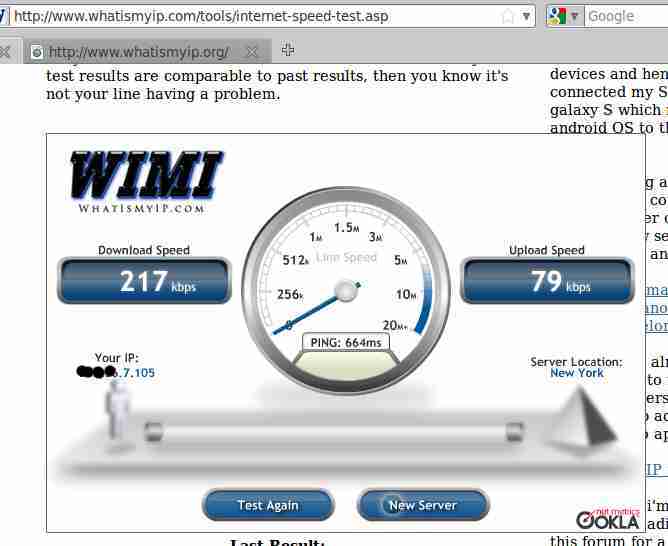 What is my IP address? ~ Net Gator